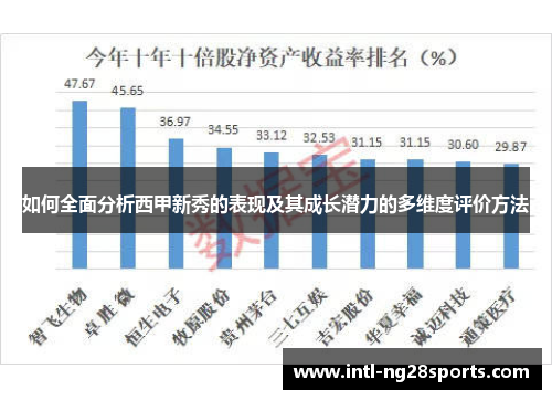如何全面分析西甲新秀的表现及其成长潜力的多维度评价方法