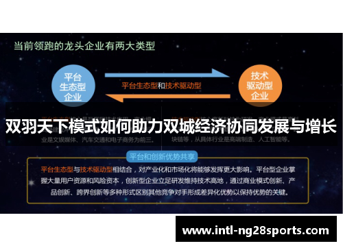双羽天下模式如何助力双城经济协同发展与增长