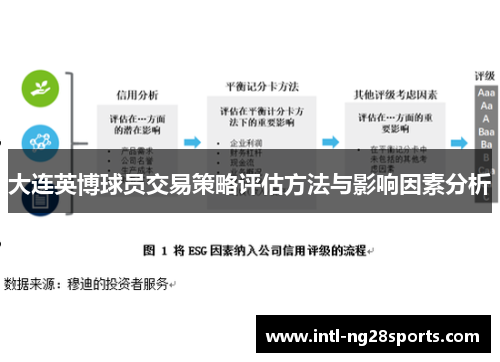 大连英博球员交易策略评估方法与影响因素分析